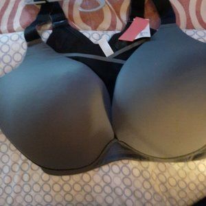 LIVI Active MEDIUM-IMPACT WICKING NO-WIRE SPORTBRA